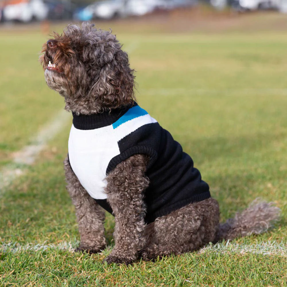 Port Adelaide Dog Jumper - Medium - Image 2
