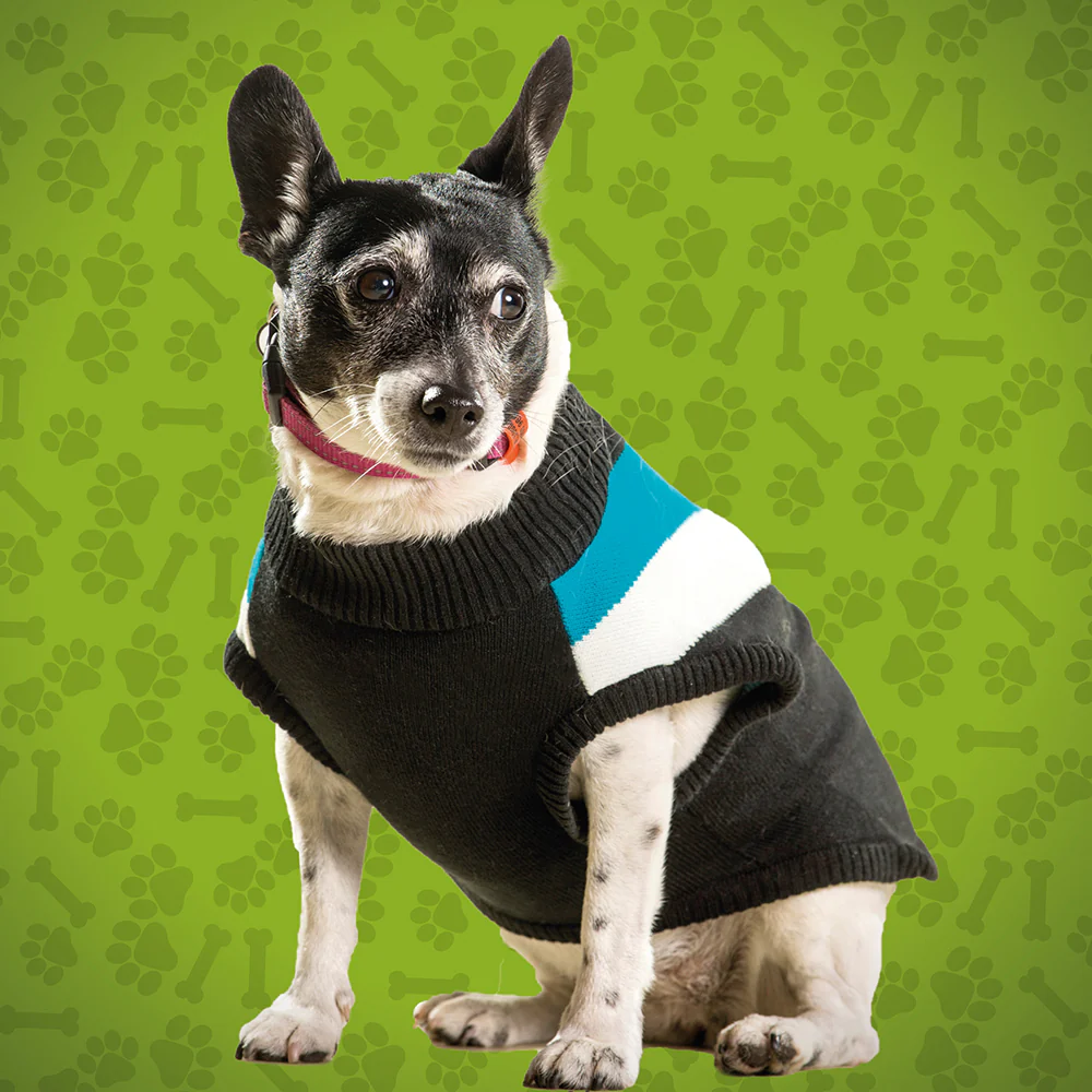 Port Adelaide Small Dog Jumper