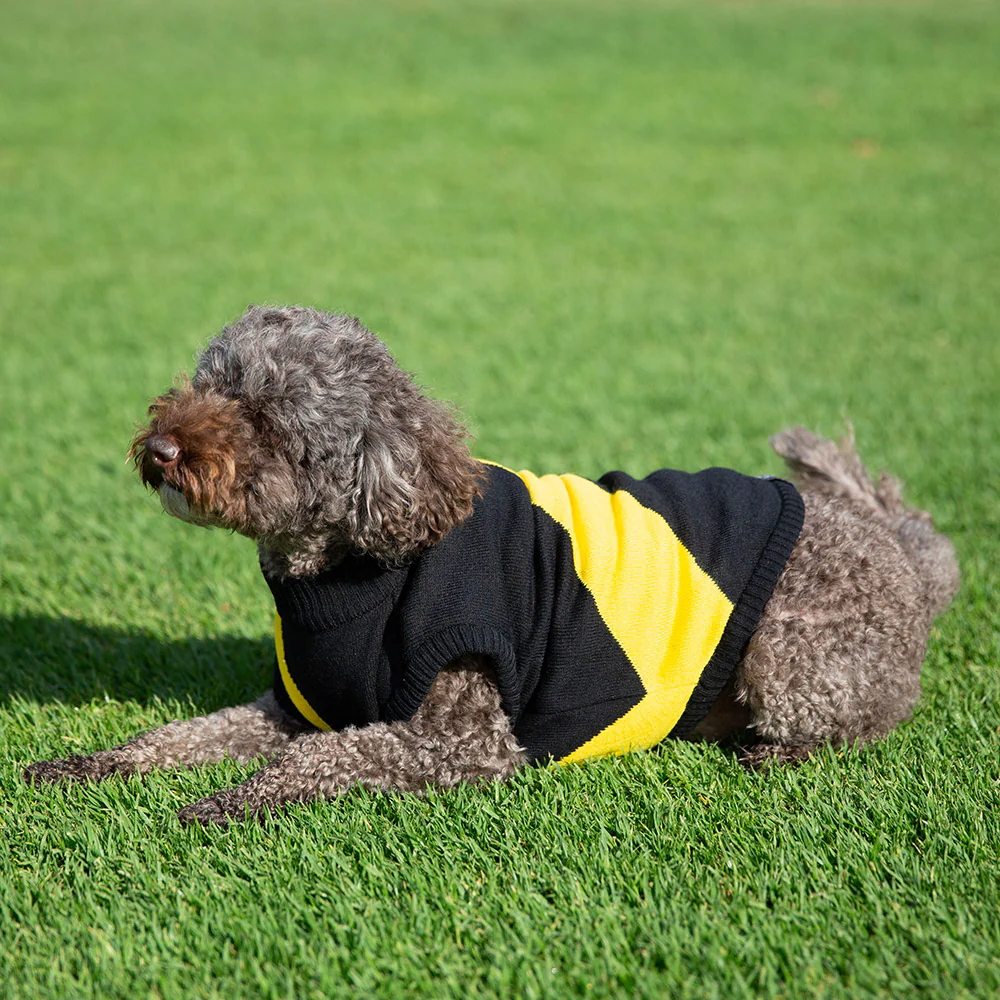 Richmond Dog Jumper - Medium