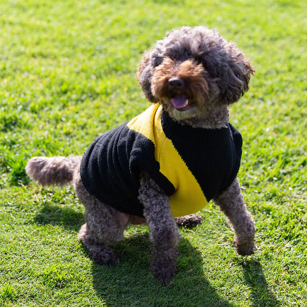 Richmond Dog Jumper - Medium - Image 2