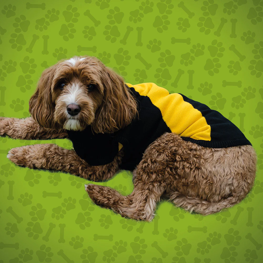Richmond Small Dog Jumper