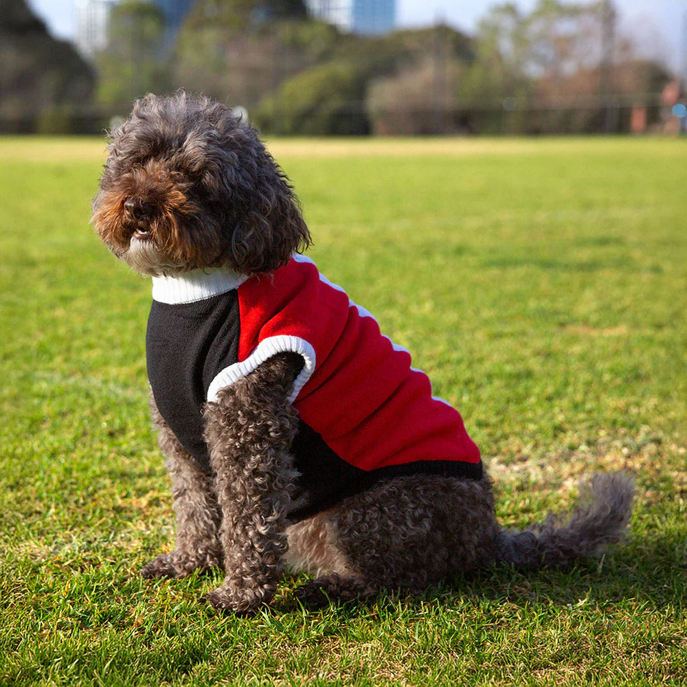 St Kilda Dog Jumper - Medium - Image 2