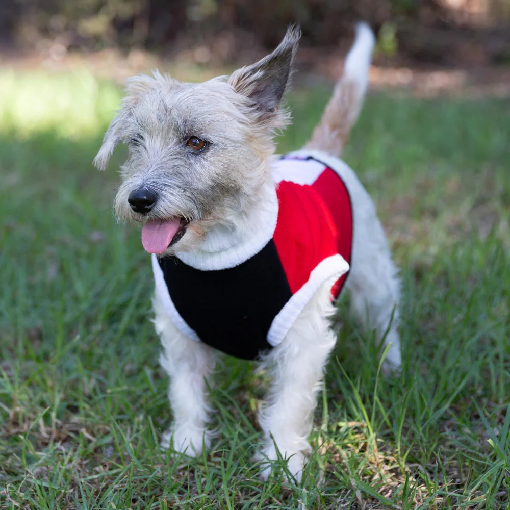 St Kilda Dog Jumper - Small - Image 2