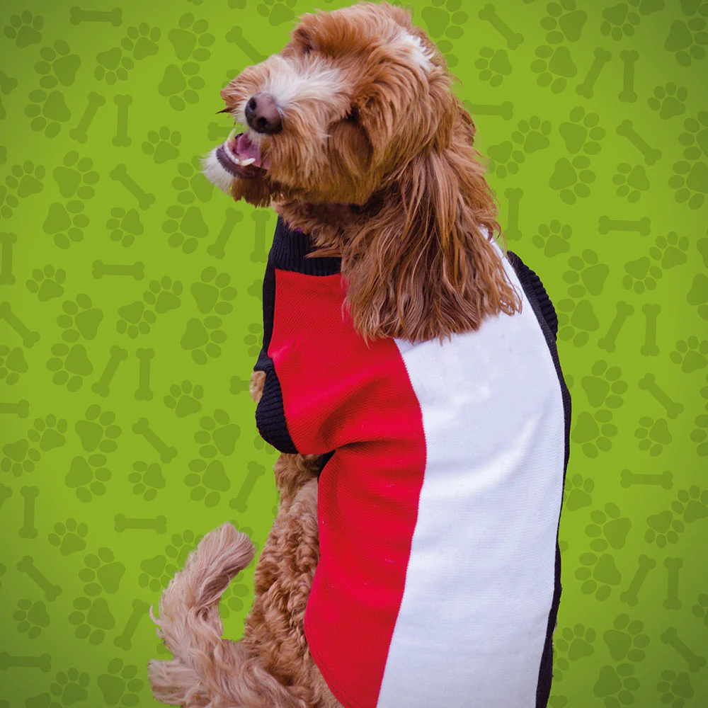 St Kilda Medium Dog Jumper - Image 2