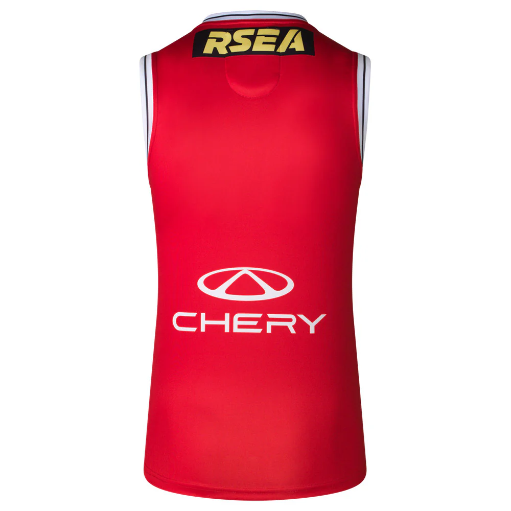 St Kilda 2025 Authentic Clash Guernsey - Image 2