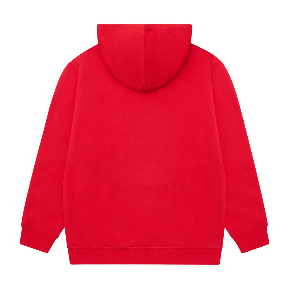 Sydney Swans Bold Graphic Hoodie - Image 2