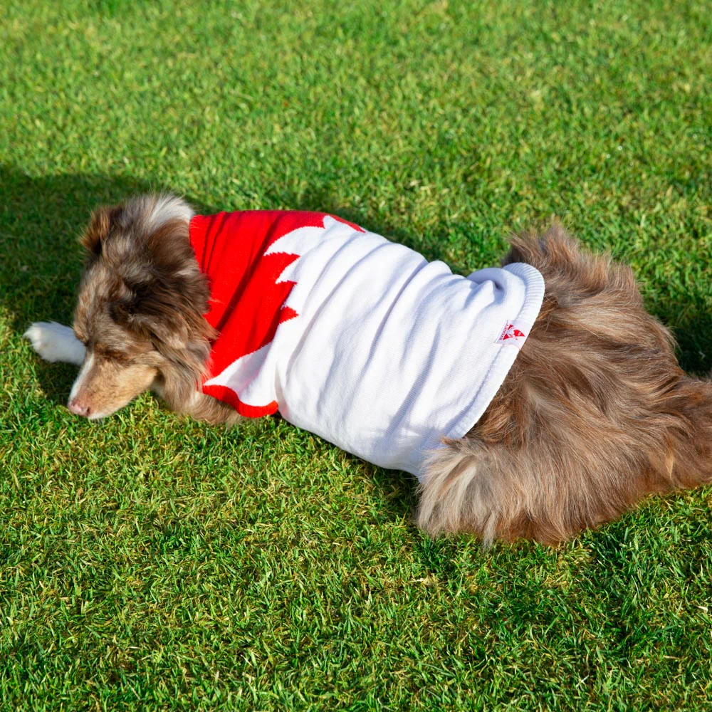 Sydney Swans Dog Jumper - Large