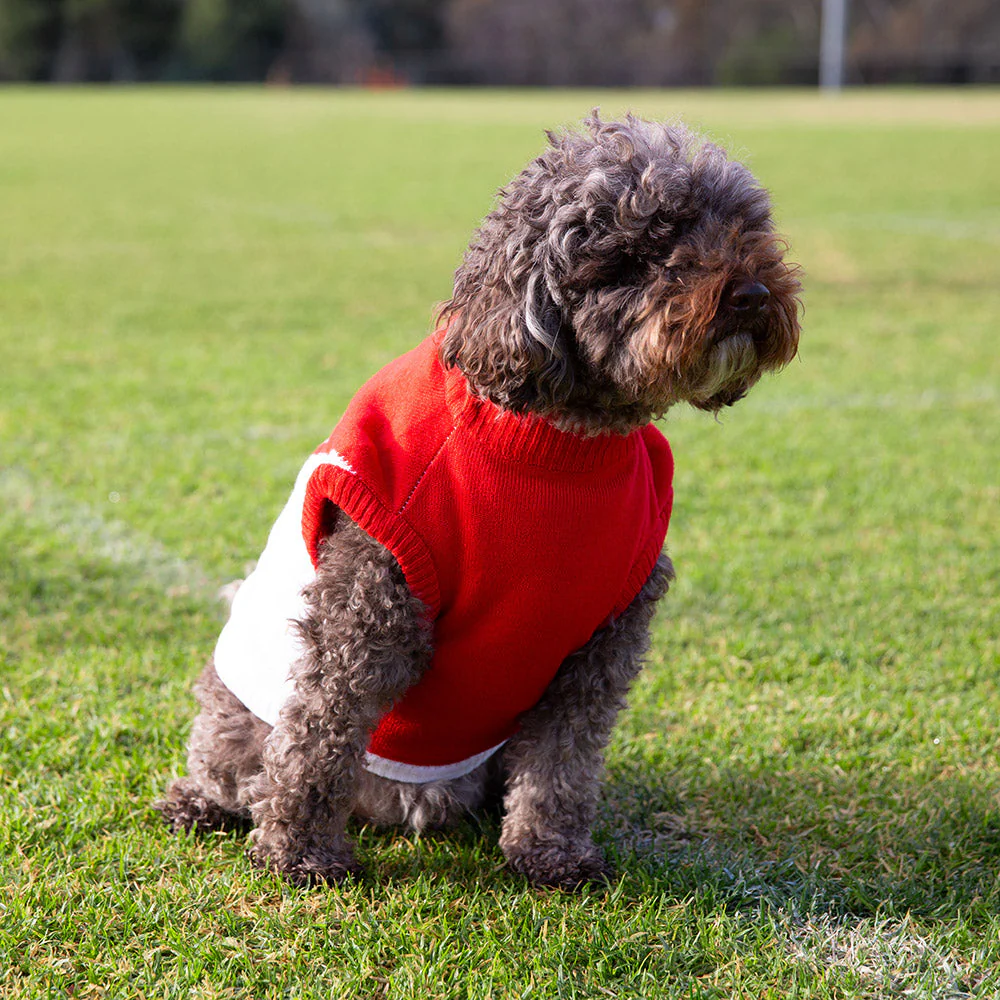 Sydney Swans Dog Jumper - Medium - Image 2
