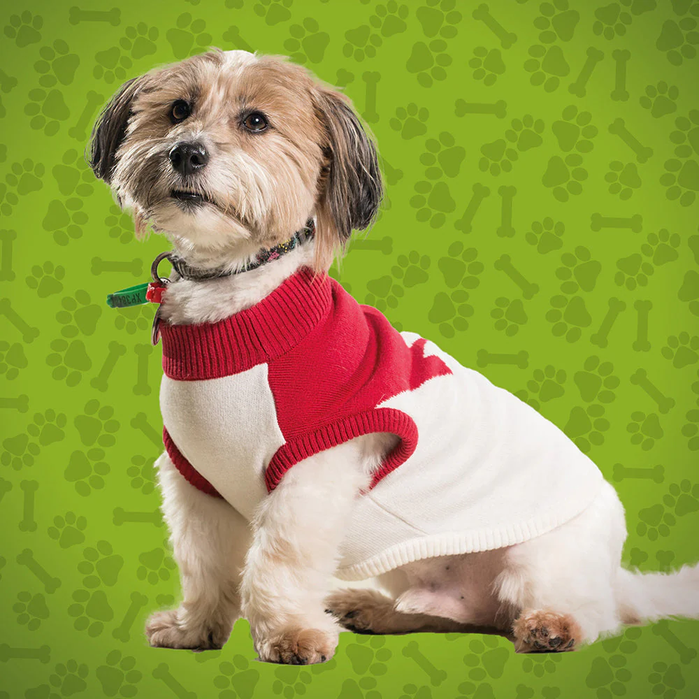 Sydney Swans Large Dog Jumper - Image 2