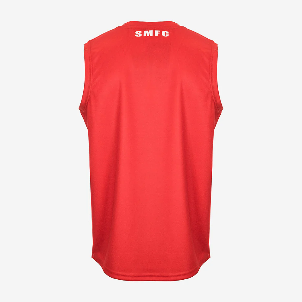 Sydney Swans Unisex Replica Guernsey - Image 4
