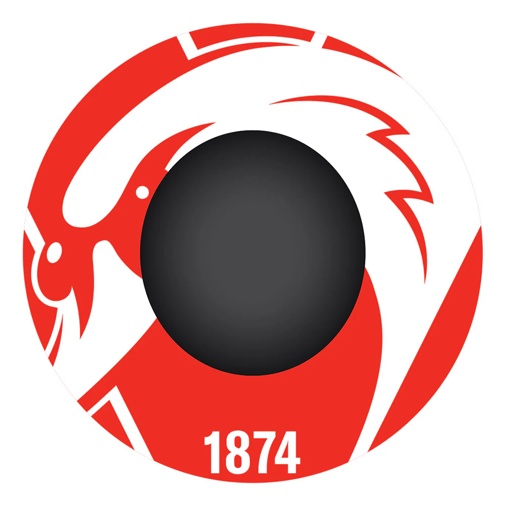 Sydney Swans Straw Hat - Image 2