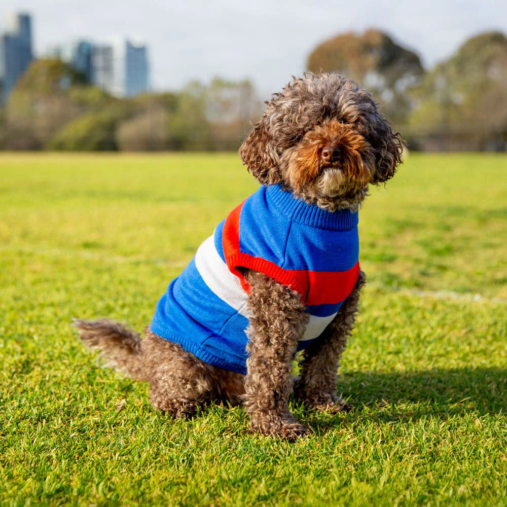 Western Bulldogs Dog Jumper - Medium - Image 2