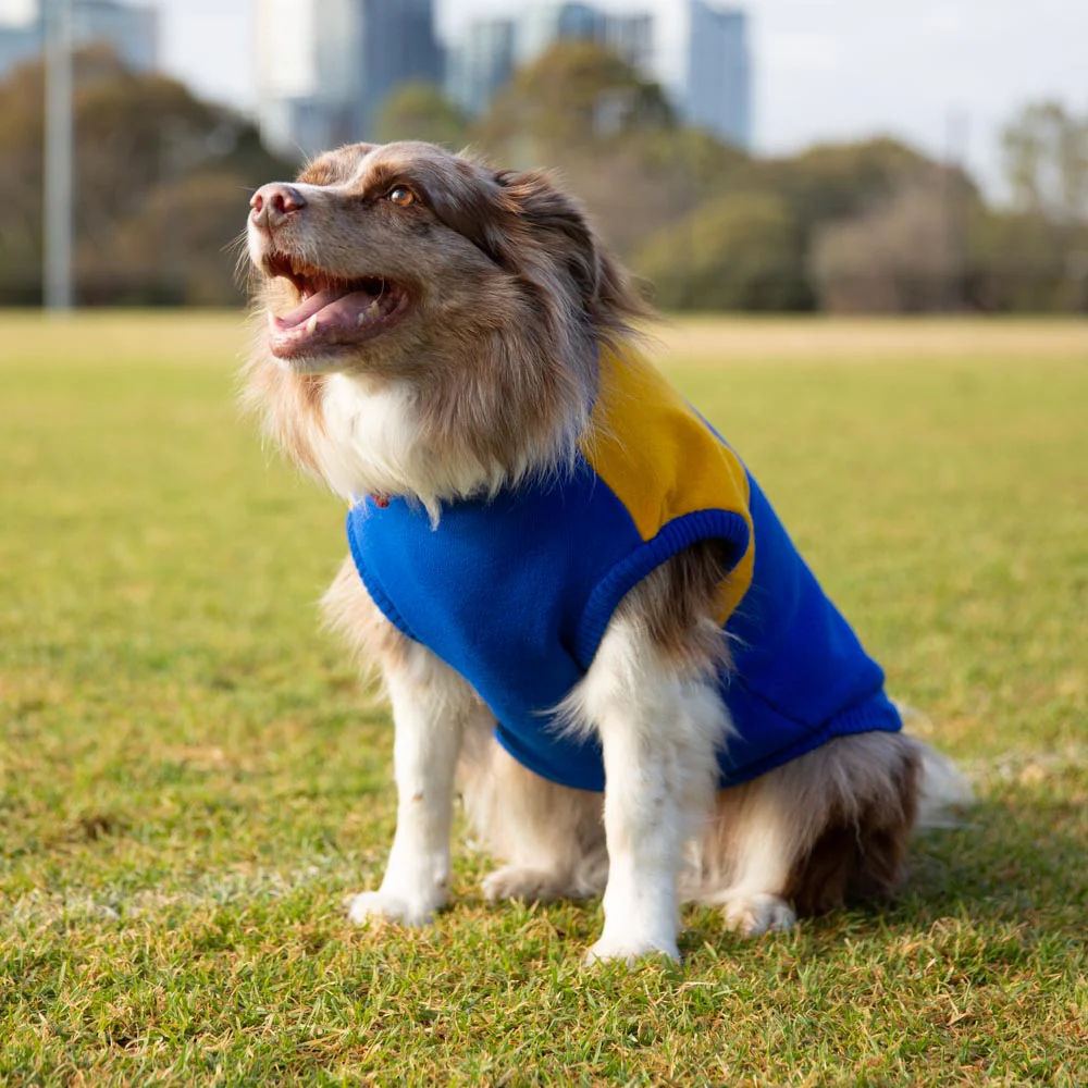 West Coast Eagles Dog Jumper - Large - Image 2