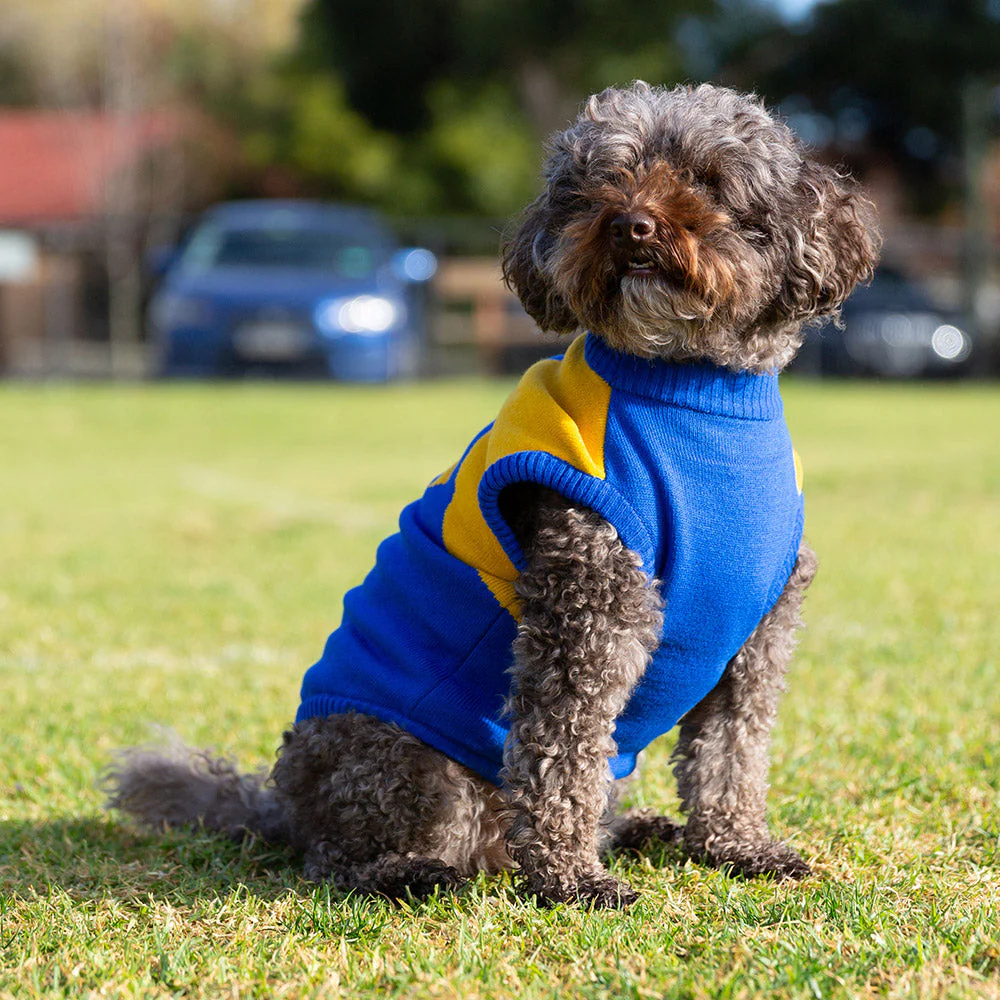 West Coast Eagles Dog Jumper - Medium - Image 2