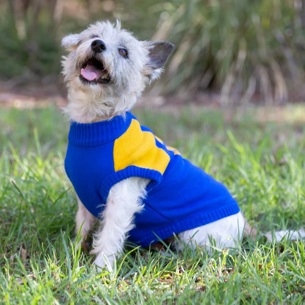 West Coast Eagles Dog Jumper - Small - Image 2