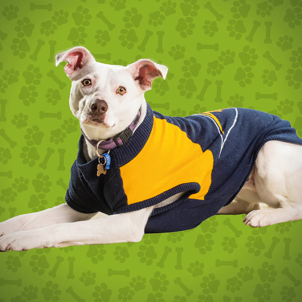 West Coast Eagles Medium Dog Jumper