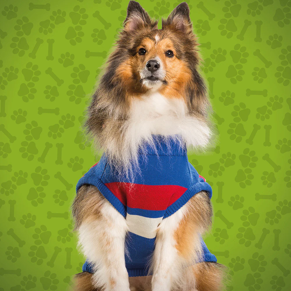 Western Bulldogs Large Dog Jumper