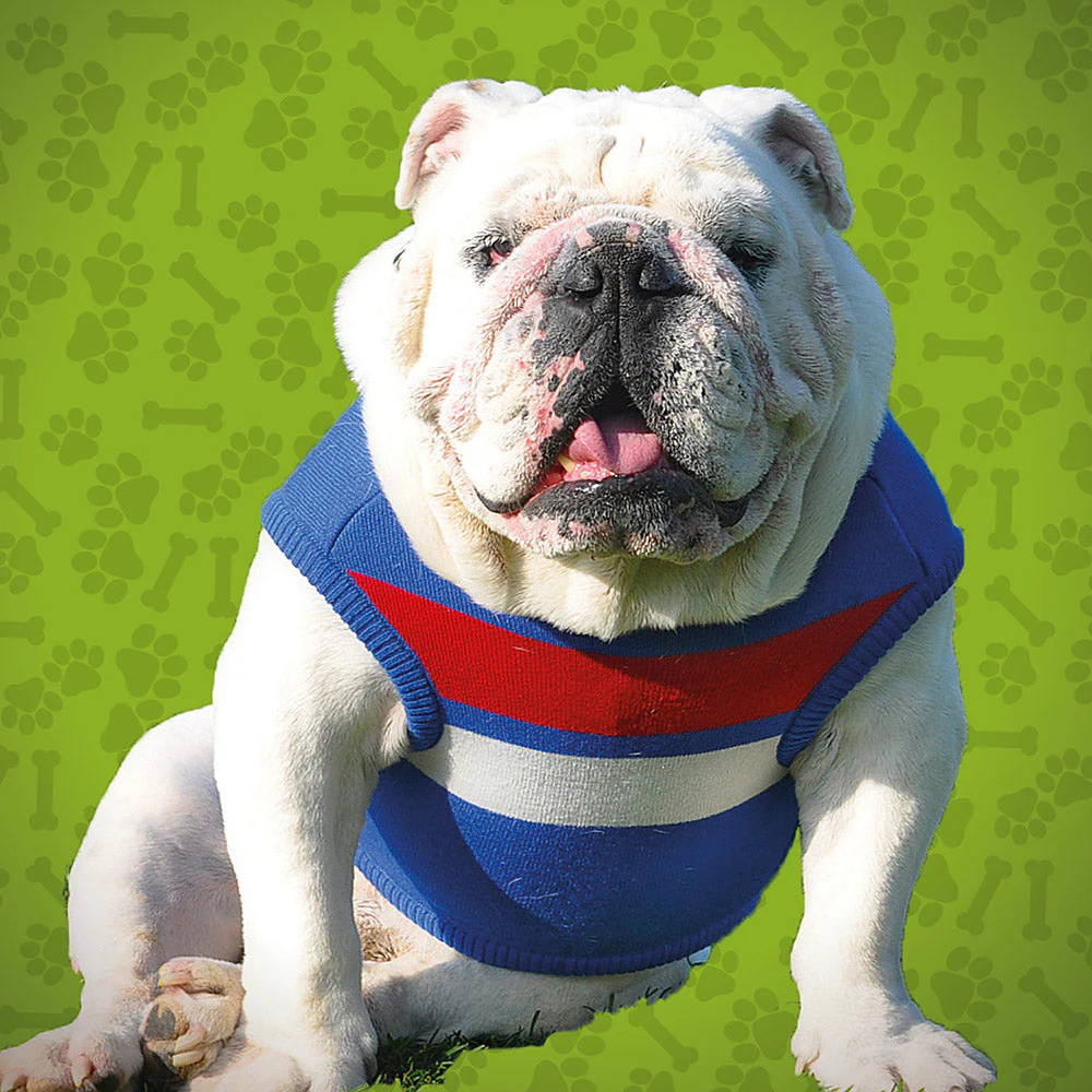Western Bulldogs Small Dog Jumper - Image 2